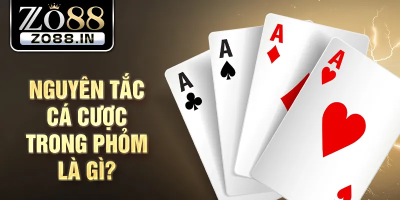 Nguyên tắc cá cược trong Phỏm là gì?