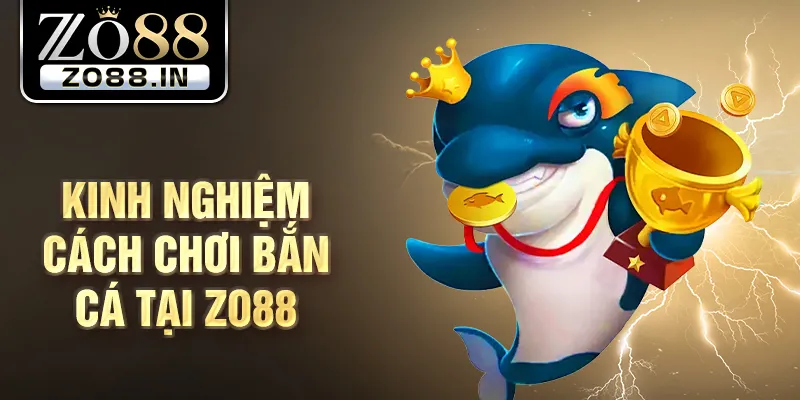 Kinh nghiệm cách chơi bắn cá tại Zo88